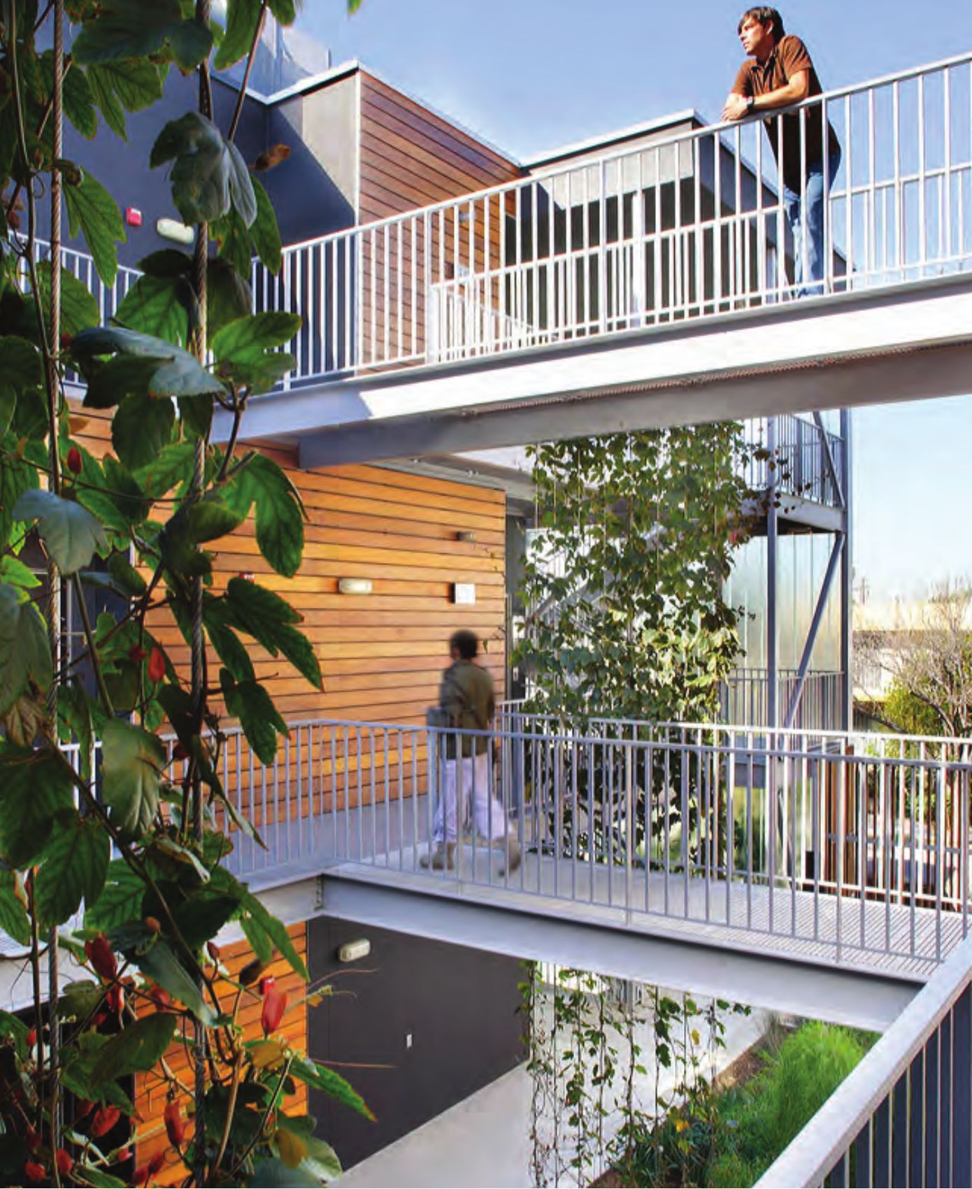 Shared garden walkway connecting units, residents interacting